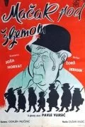 Кот под шлемом — постер