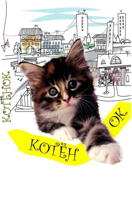 Котенок — постер