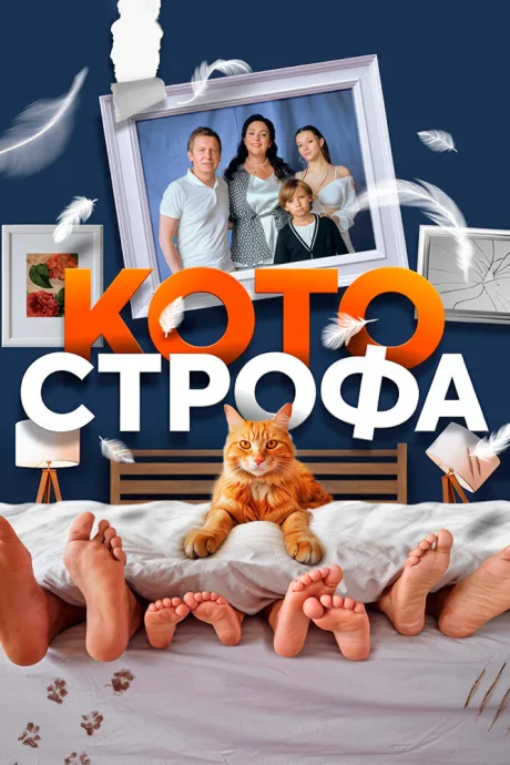 Котострофа — постер