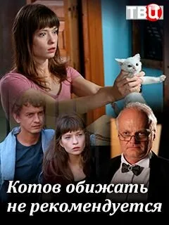 Котов обижать не рекомендуется — постер