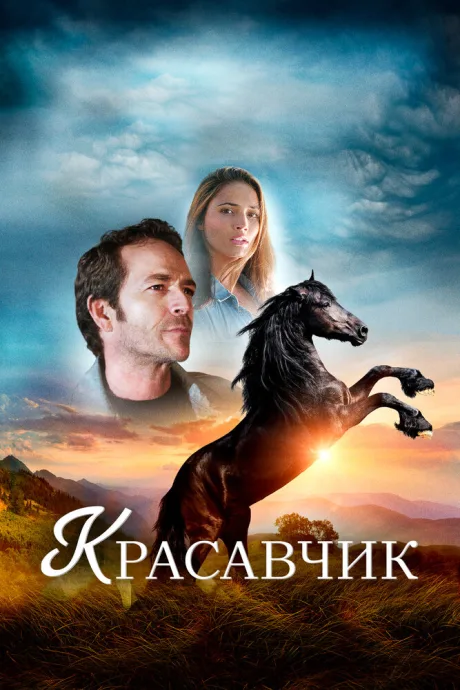 Красавчик — постер
