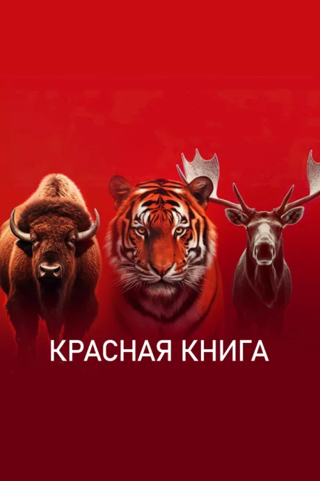 Красная книга — постер
