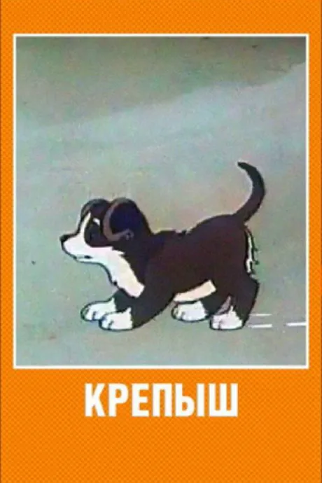 Крепыш — постер