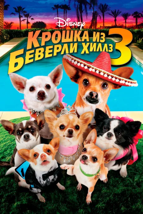 Крошка из Беверли-Хиллз 3 — постер