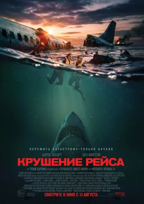 Крушение рейса — постер