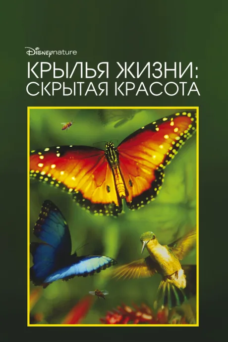 Крылья жизни: Скрытая красота — постер
