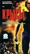 Крысы — постер