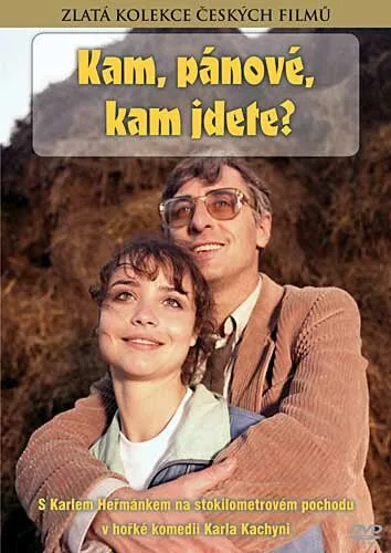 Куда, товарищи, куда идете? — постер