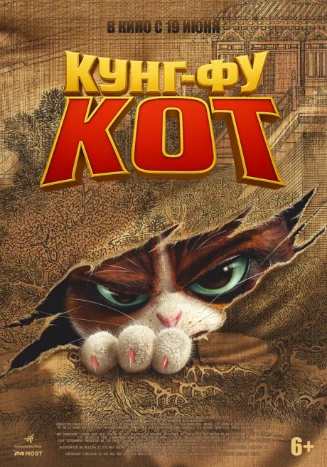 Кунг-фу кот — постер