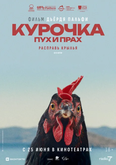 Курочка. Пух и прах — постер