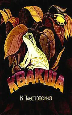 Квакша — постер