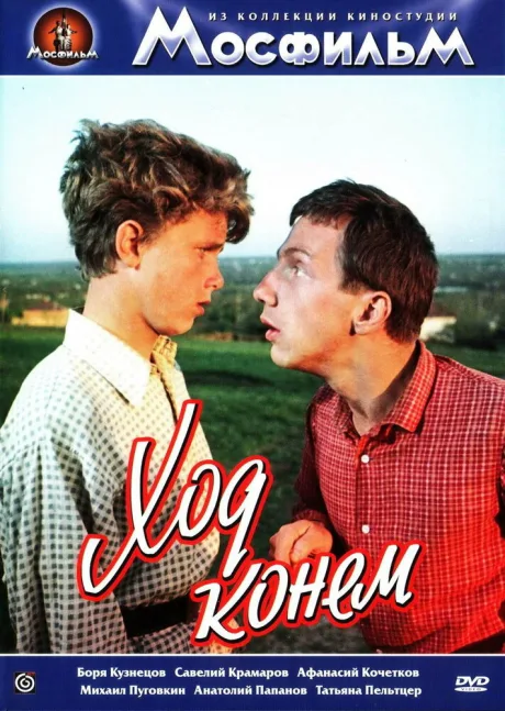Ход конем — постер