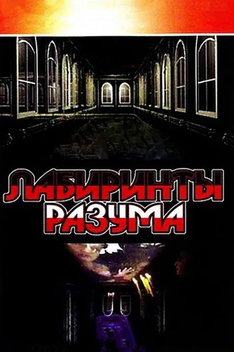 Лабиринты разума — постер
