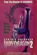 Леди дракон 2 — постер