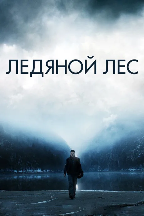 Ледяной лес — постер
