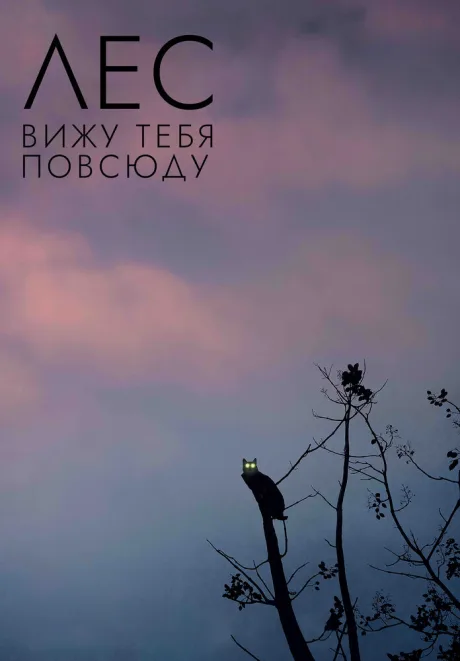 Лес: Вижу тебя повсюду — постер