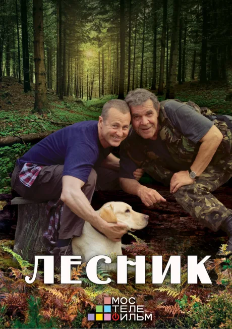 Лесник 3 — постер