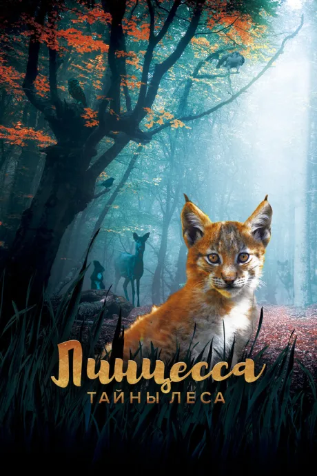 Линцесса. Тайны леса — постер