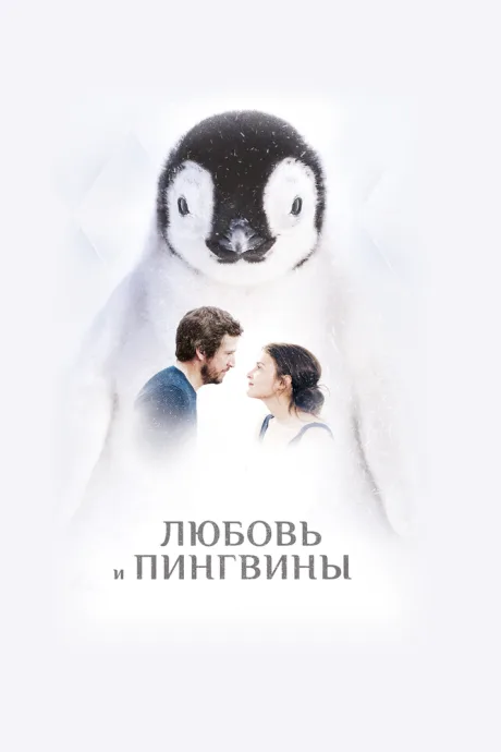 Любовь и пингвины — постер