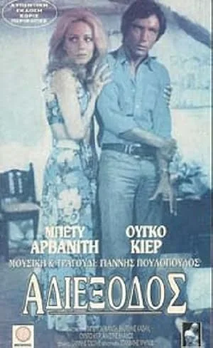 Любовная лихорадка — постер