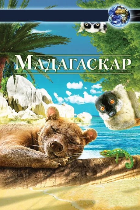 Мадагаскар 3D — постер