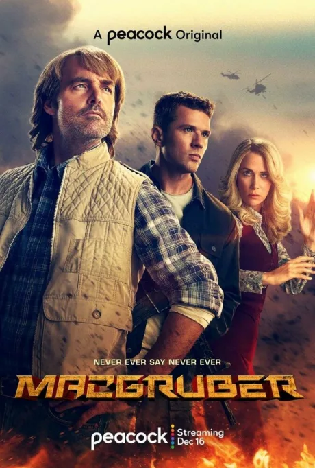 МакГрубер — постер