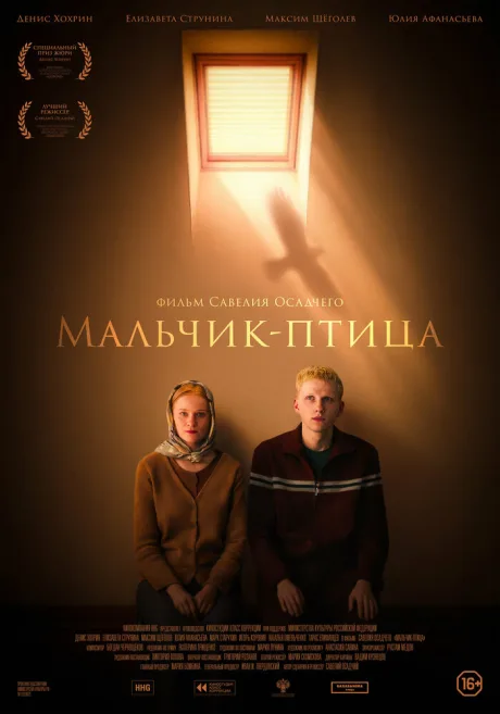 Мальчик-птица — постер