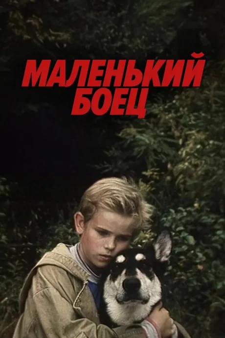 Маленький боец — постер