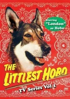 Маленький бродяга — постер