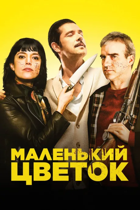 Маленький цветок — постер