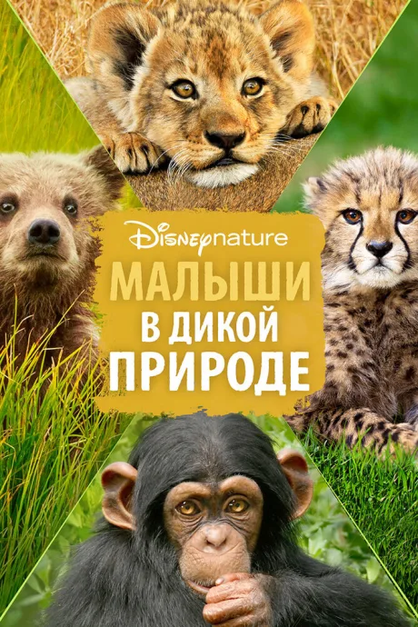 Малыши в дикой природе — постер
