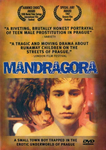 Мандрагора — постер