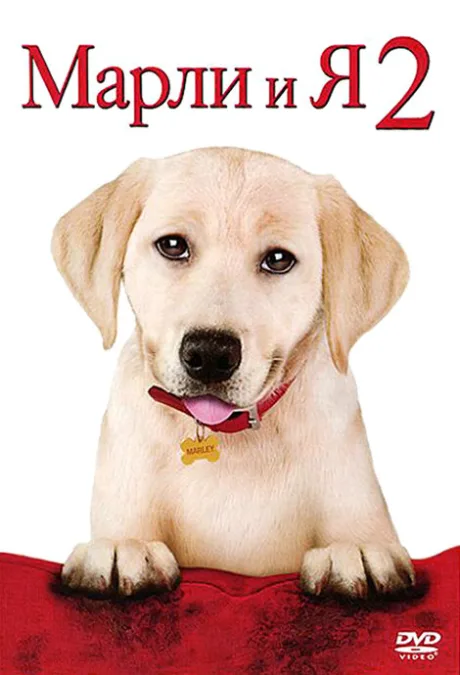 Марли и я 2 — постер