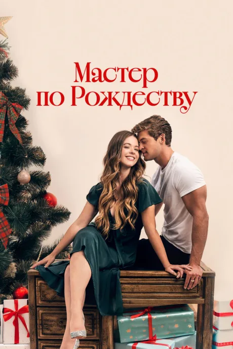 Мастер по Рождеству — постер