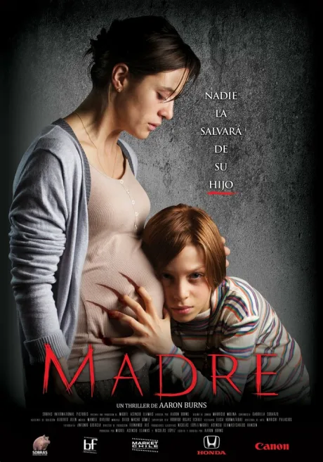 Мать — постер