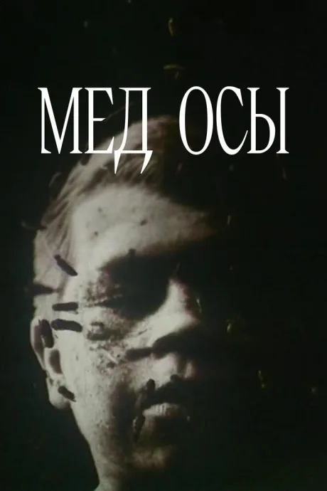 Мед осы — постер