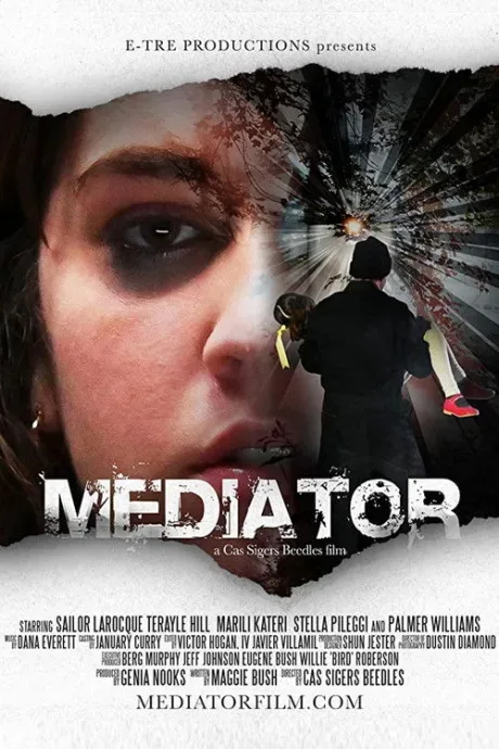 Медиатор — постер