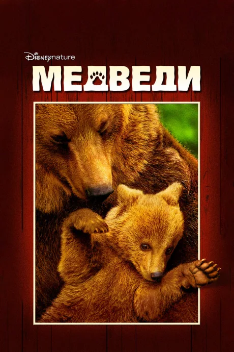 Медведи — постер