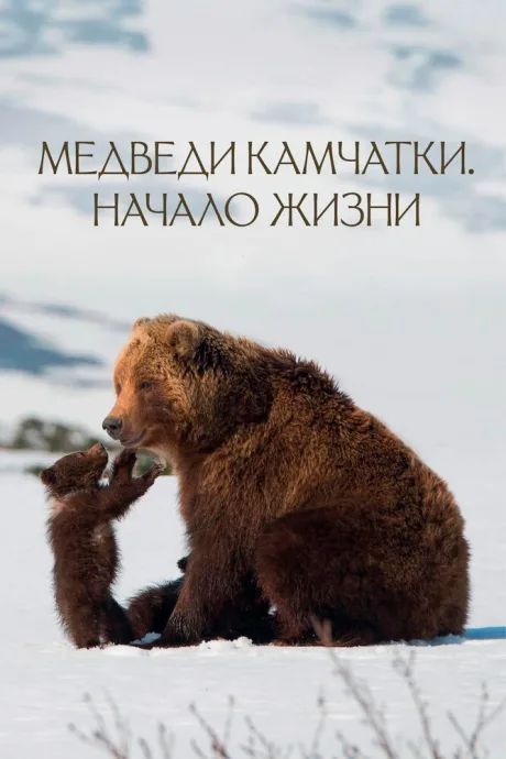 Медведи Камчатки. Начало жизни — постер