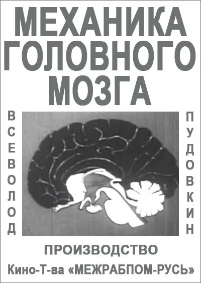 Механика головного мозга — постер