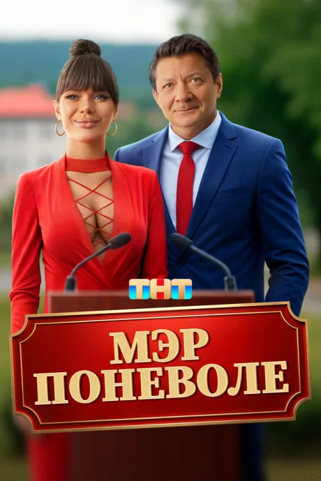 Мэр поневоле — постер