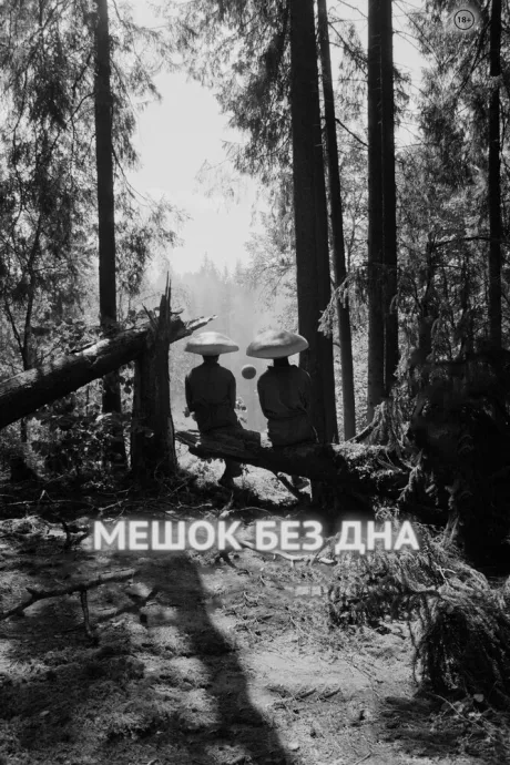 Мешок без дна — постер