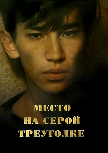 Место на серой треуголке — постер