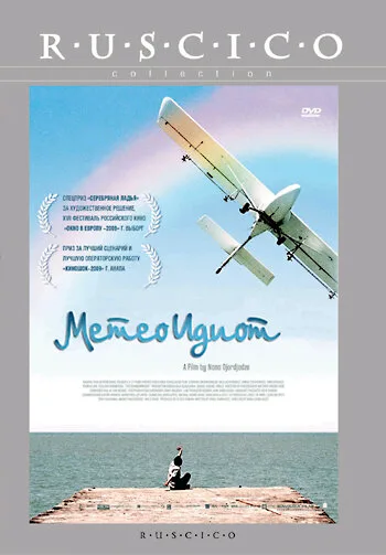 Метеоидиот — постер