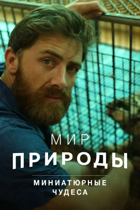 Мир природы. Миниатюрные чудеса — постер