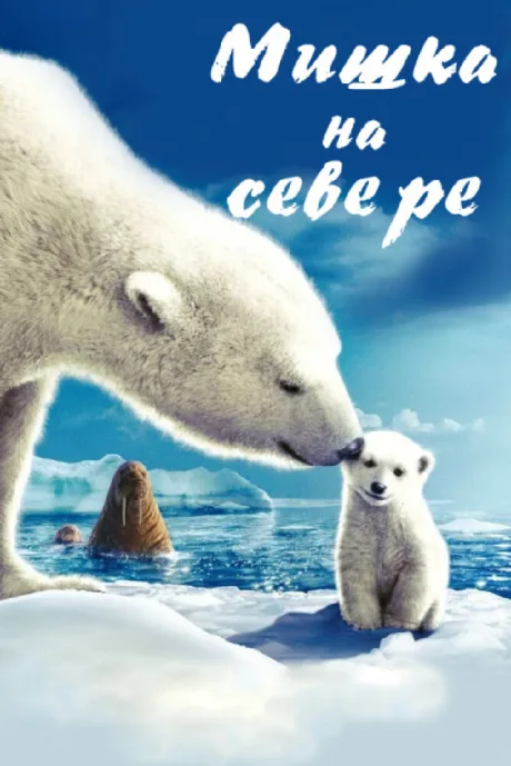 Мишка на Севере — постер