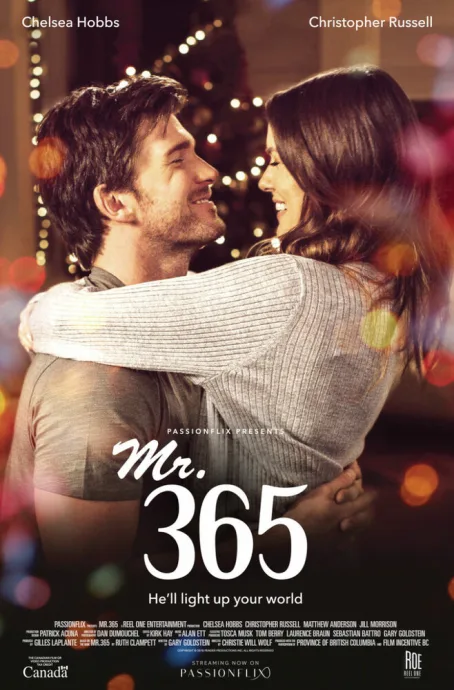 Мистер 365 — постер