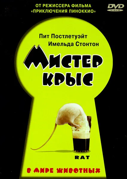 Мистер крыс — постер