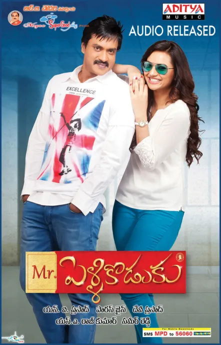 Мистер Жених — постер