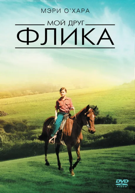 Мой друг Флика — постер